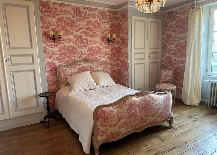 Château De Fontenaille *